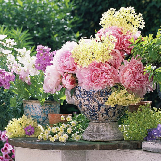 Serviett kaffe potted flowers Ambiente