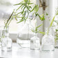 Vase glass klar flaske liten apotek Ib Laursen