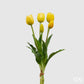Tulipaner 5 stk gule EDG Enzo de Gasperi