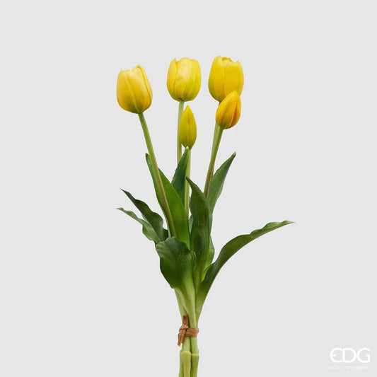 Tulipaner 5 stk gule EDG Enzo de Gasperi