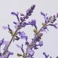 Lavendel kvist EDG Enzo de Gasperi