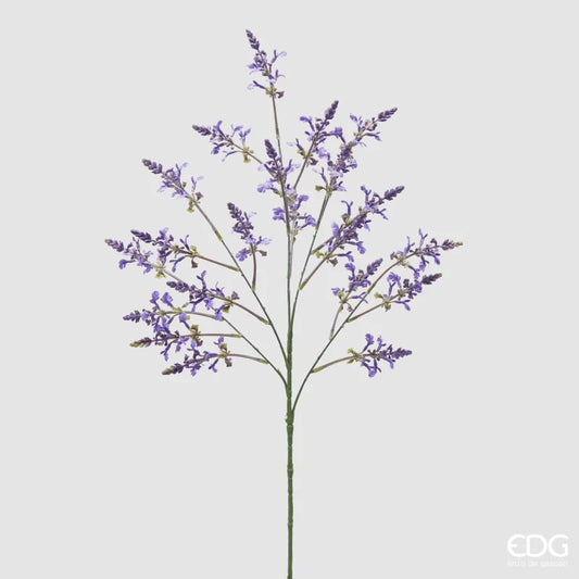 Lavendel kvist EDG Enzo de Gasperi