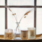 Vase glass klar flaske 16 cm romance Affari