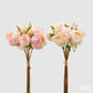 Pioner rosa krem bukett 9stk EDG Enzo de Gasperi