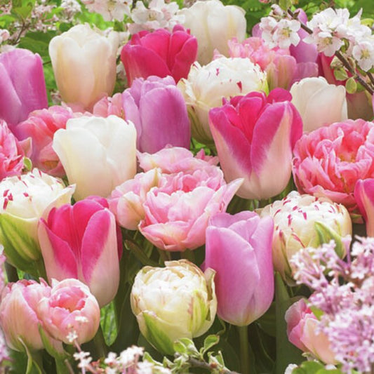 Serviett kaffe pink tulips Ambiente