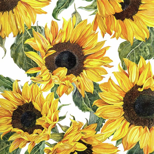 Serviett lunsj solsikker Sunflowers Blossoming Ambiente