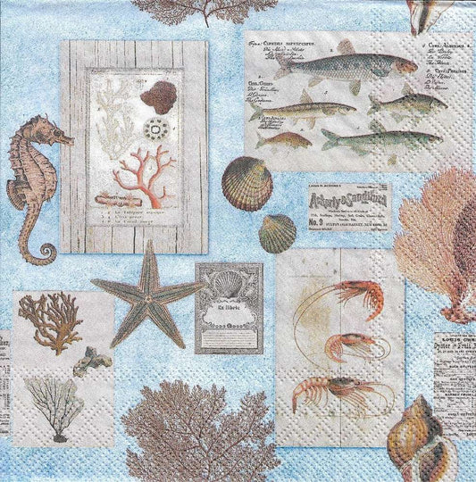 Serviett lunsj sepia sea blue Ambiente
