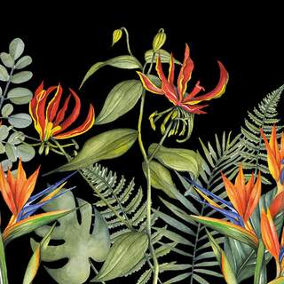 Serviett lunsj tropical flower black Ambiente