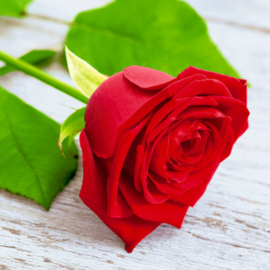 Serviett lunsj roser Lovely rose Duni