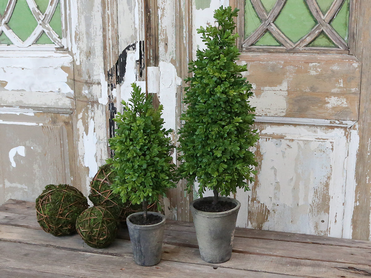 Buksbom potte kunstig Chic Antique