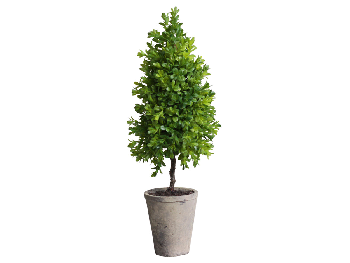 Buksbom potte kunstig Chic Antique