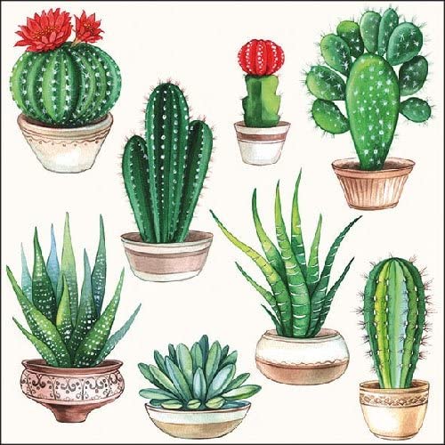 Serviett lunsj cactus white kaktuser Ambiente