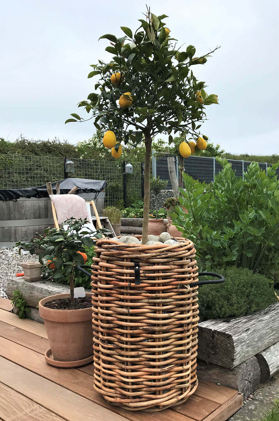 Kurver fra A 2 living