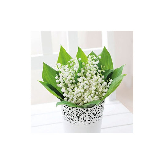 Serviett lunsj liljekonvall  Bunch of Lily Ambiente