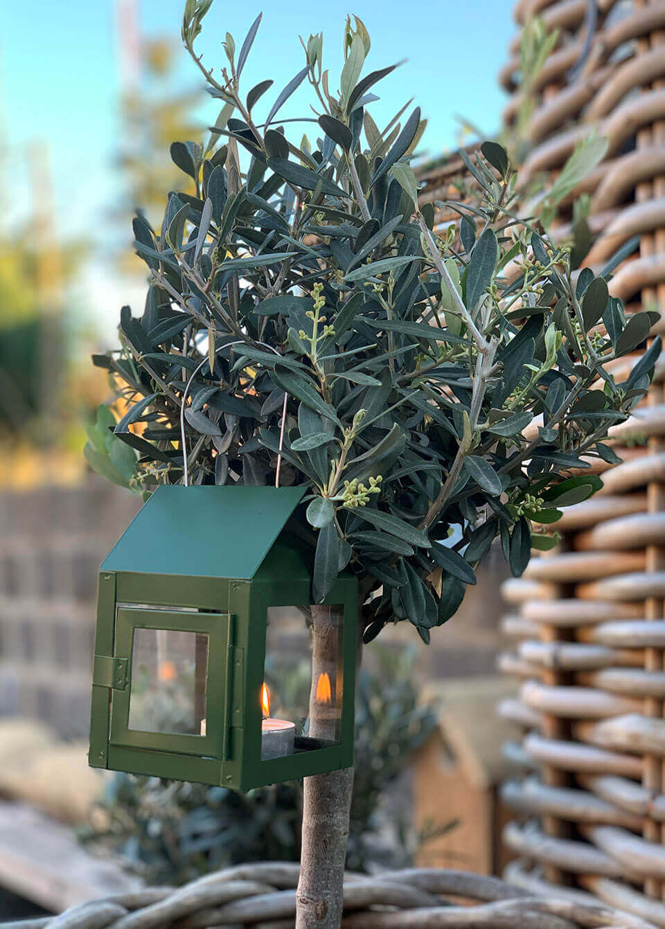 Lykt 12 cm grønn A2 living