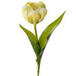 Tulipan lys gul Mr plant